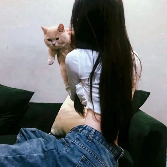 邪恶第四季