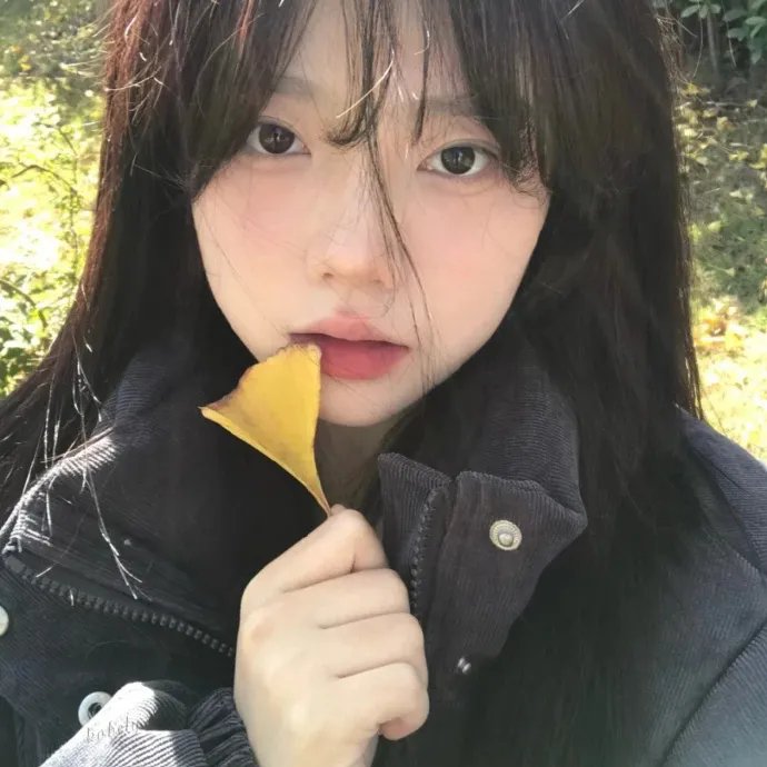 对岸的战争